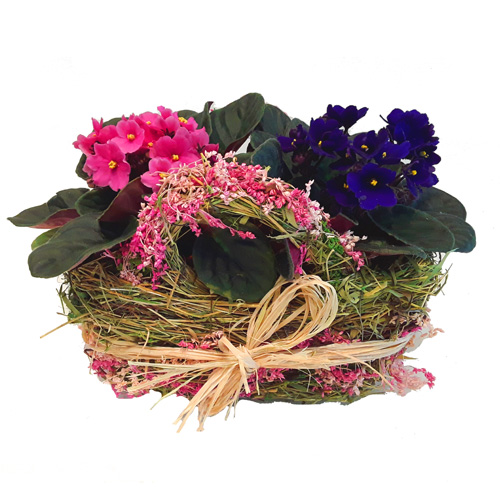 Basket of raffia with violets