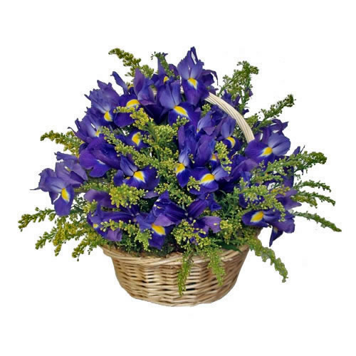 Blue Lilies Basket