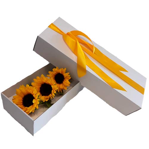 Sunflowers Box