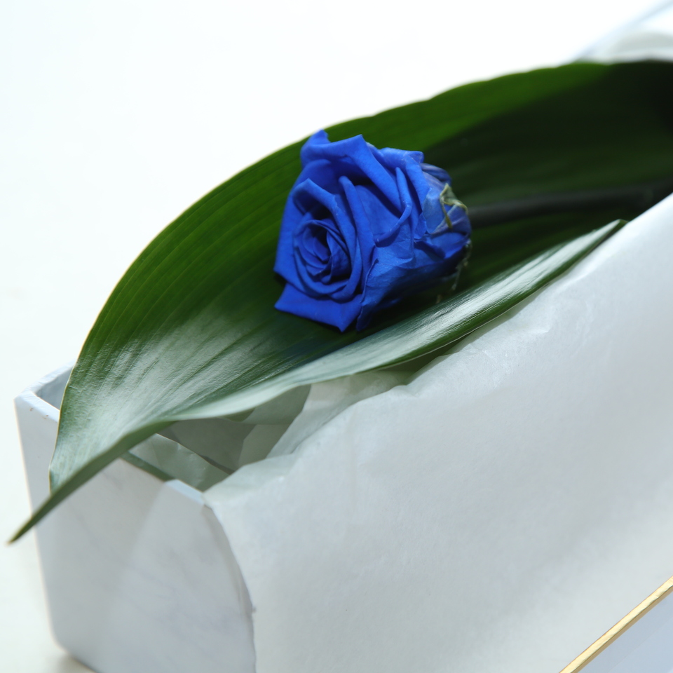 Box with blue rose