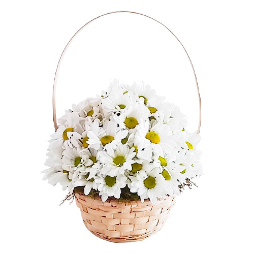 White Daisies Basket