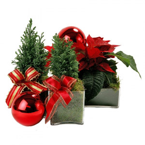 Decorative Christmas Arrangement II