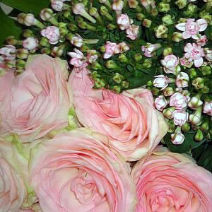 "Esperance" Roses Bouquet
