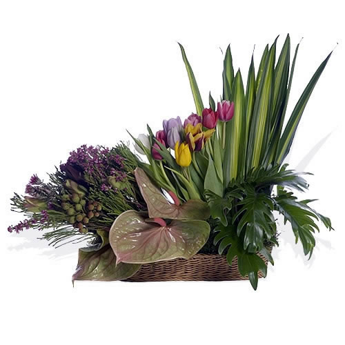 Tulips and Exotics Country Basket