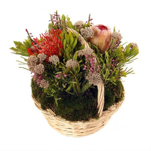 Exotic Bouquets Basket
