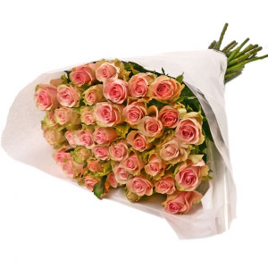 Pink and Green Roses Bunch