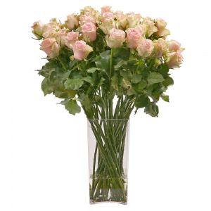 Pink and Green Roses Vase