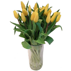 Yellow Tulips Vase