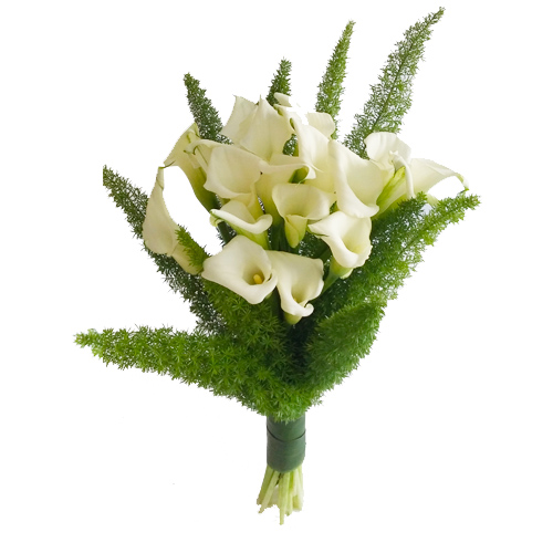 White Calla Lily with Greens