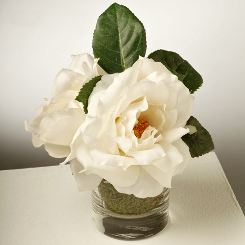 Leafless White Rose