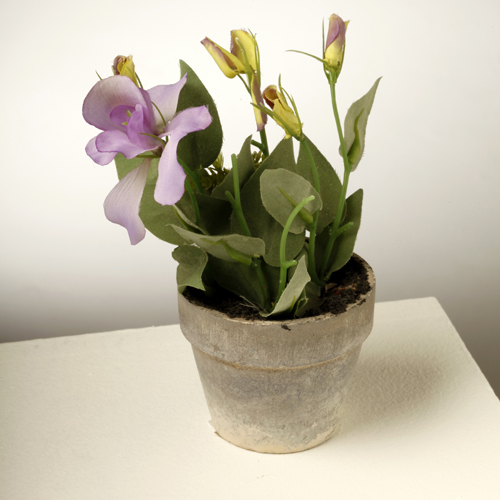 Lilac Lizianthus Vase