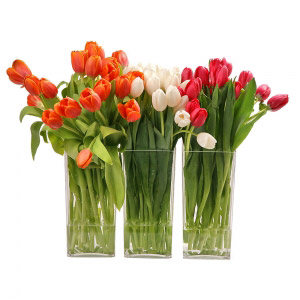 Mix Color Tulips Vase