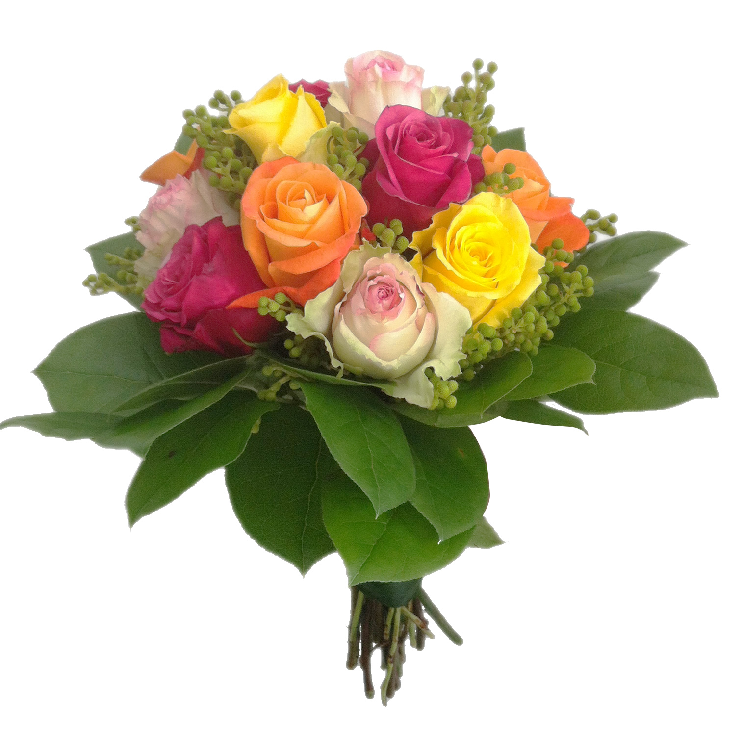 Multicolor Bouquet of Roses