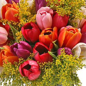 Multicolor Tulips Bouquet