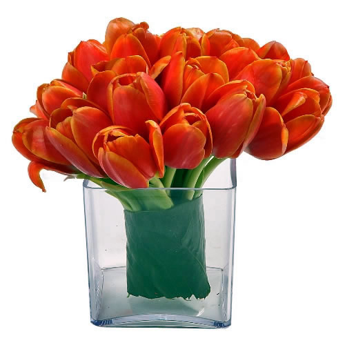 Orange Tulips Cube