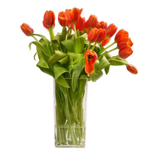 Orange Tulips Vase
