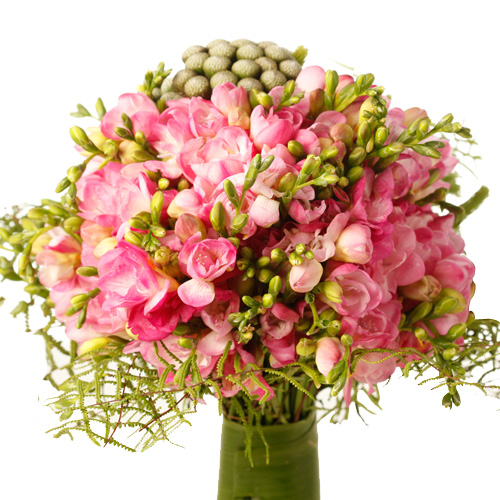 Pink Freesias Bouquet