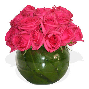 Pink Fuchsia Roses in a Round Vase