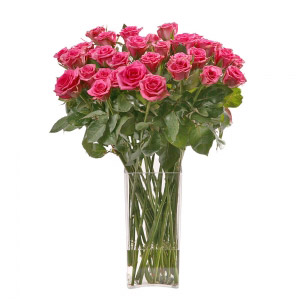 Pink Fuchsia Roses Vase
