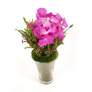 Pink "Vanda" Orchids Vase