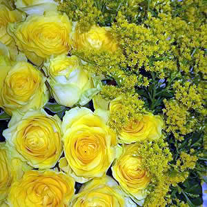 Premium Yellow Roses Vase