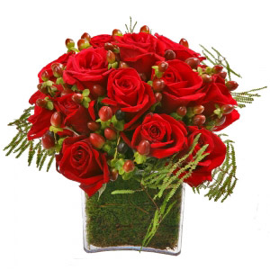 Red Roses Cube