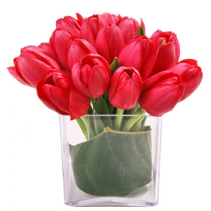 Red Tulips Cube