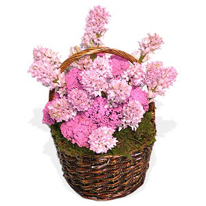 Pink Hyacinths Basket