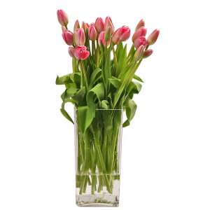 Soft Pink Tulips Vase