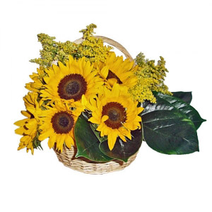 Sunflowers Basket