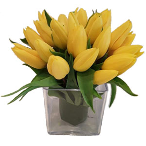 Yellow Tulips Cube