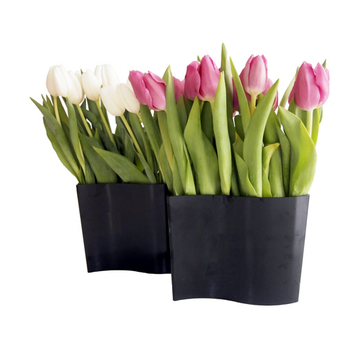 Two Waved Vases with Tulips