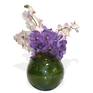 Orchids Vase I