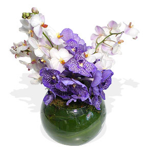 Orchids Vase I