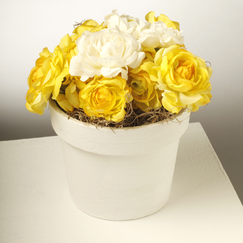 Vase of white and yellow buttercups