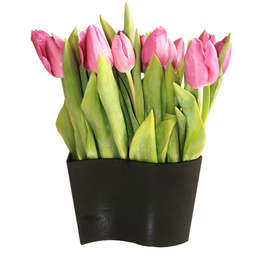 Waved Vase of Tulips