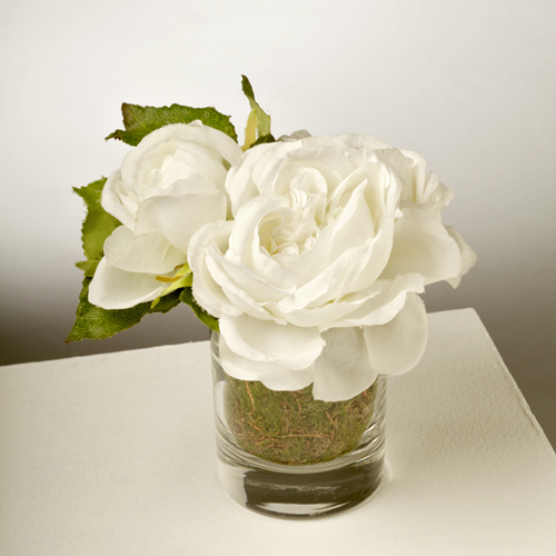 White Rose in a Vase