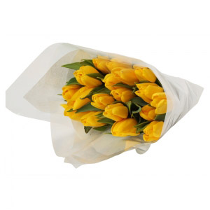 Yellow Tulips Bunch