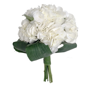 Bouquet de Hortenses Brancas I
