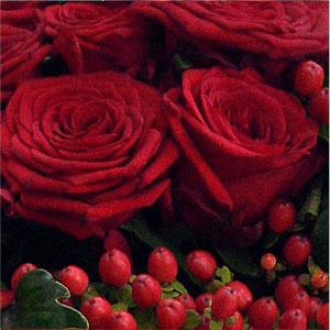 Bouquet de Rosas Encarnadas Premium