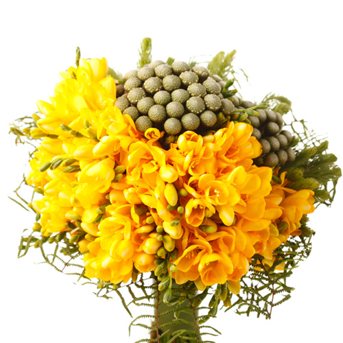 Bouquet de Frésias Amarelas | FLORFLOR.PT