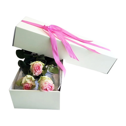 Caixa branca com três rosas rosa claro