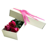Caixa branca com três rosas rosa 