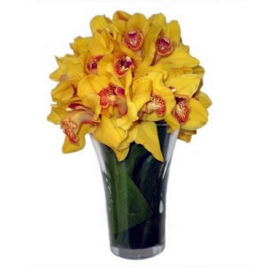 Jarra de Orquídeas Amarelas