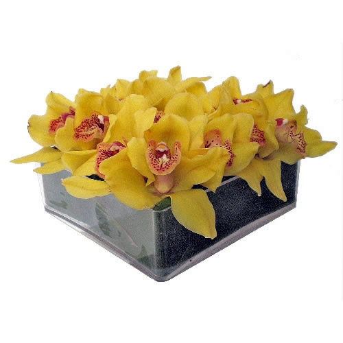 Quadrado de Orquídeas Amarelas