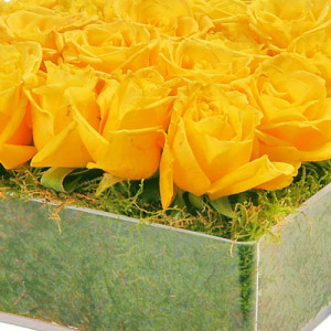 Quadrado de Rosas Amarelas